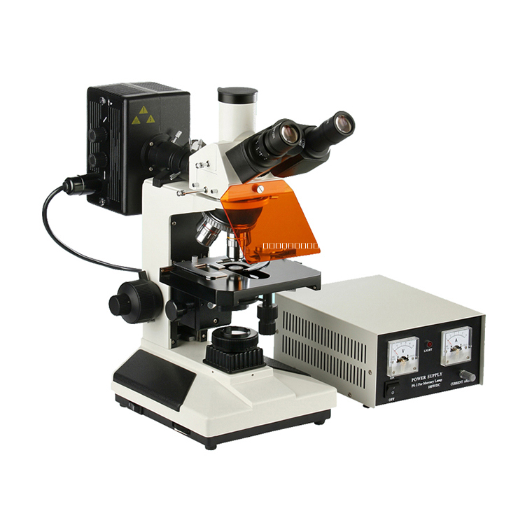 落射熒光顯微鏡圖片