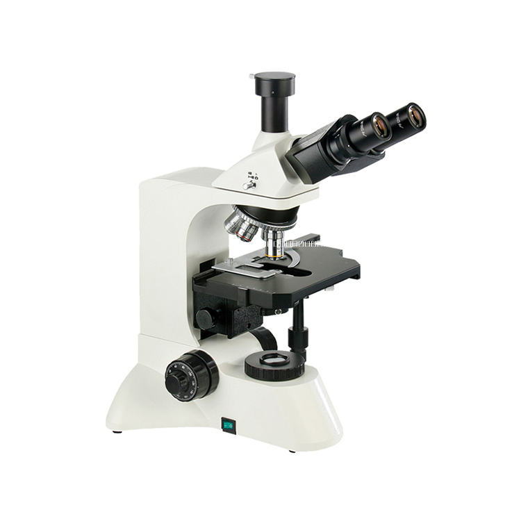 生物顯微鏡圖片