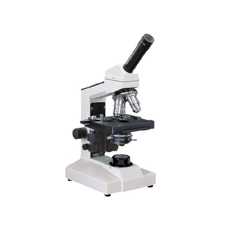 生物顯微鏡圖片